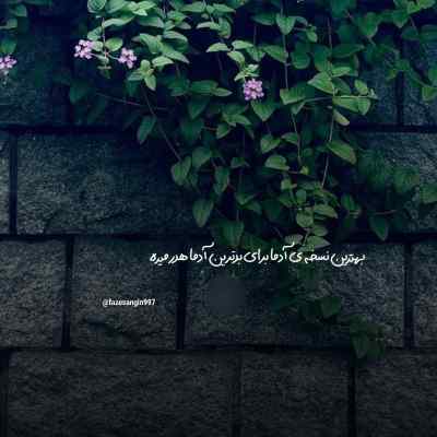 قرنیه مشکی مجید حاتمی